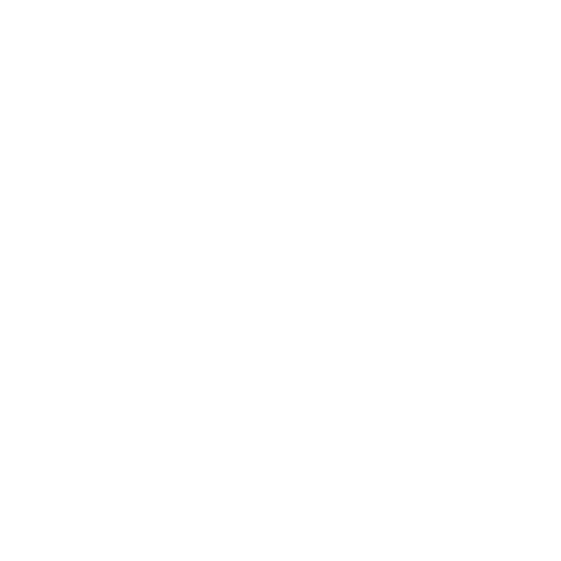 Formula 1