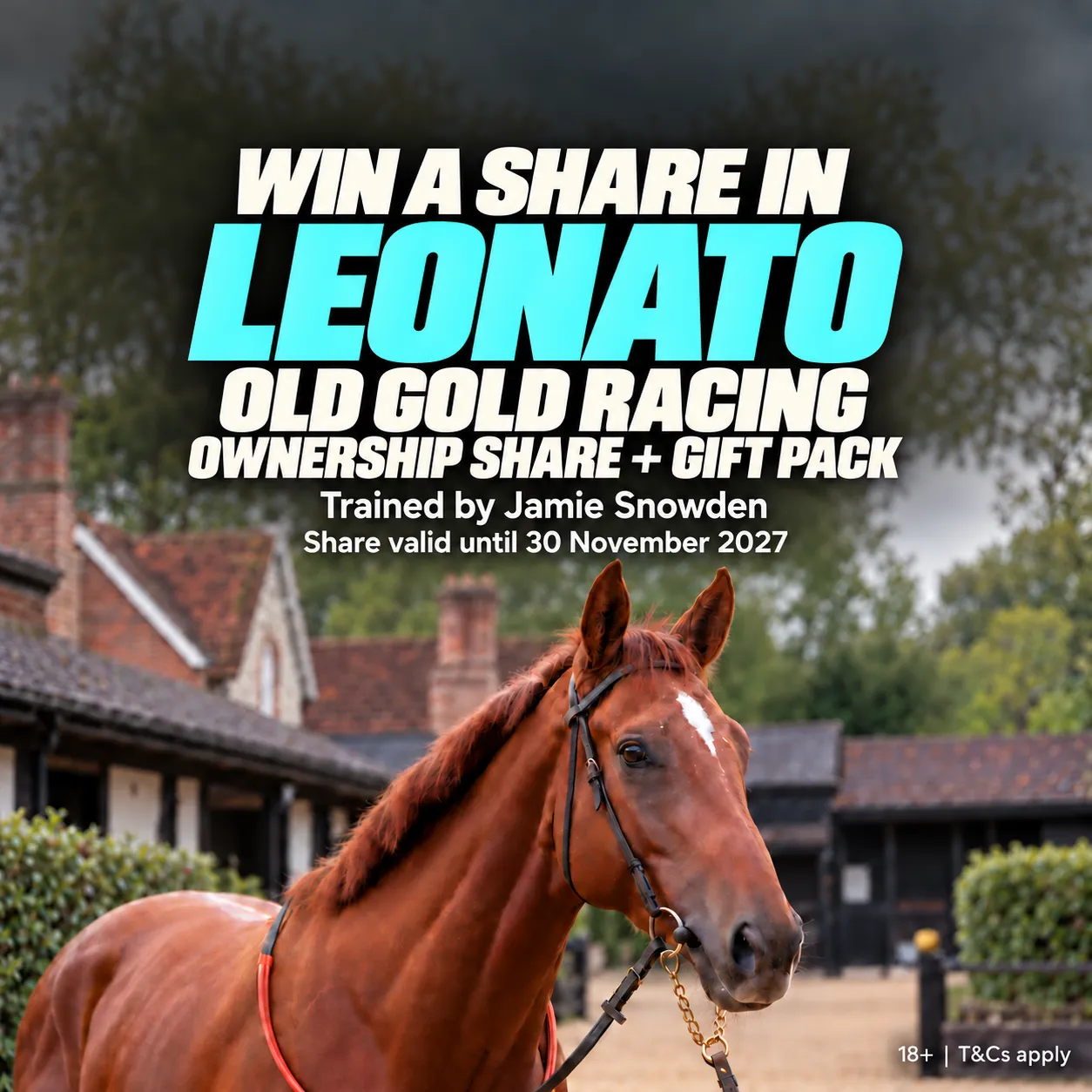 A share in a Racehorse
