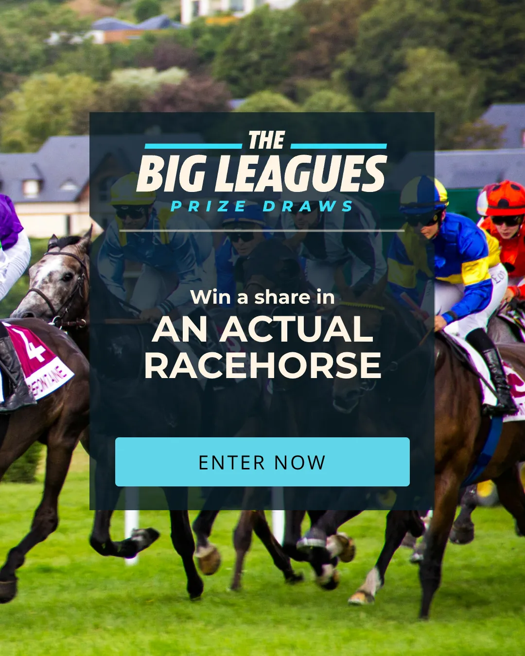 WIN A SHARE IN A RACEHORSE 